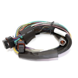 Haltech Elite 2500 - 2.5m (8 ft) Basic Uni Wire-in Harn Only