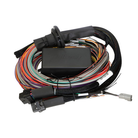 Haltech Haltech Elite 2500 - 2.5m (8 ft) Premium Uni Wire-in Harness | race-shop.si