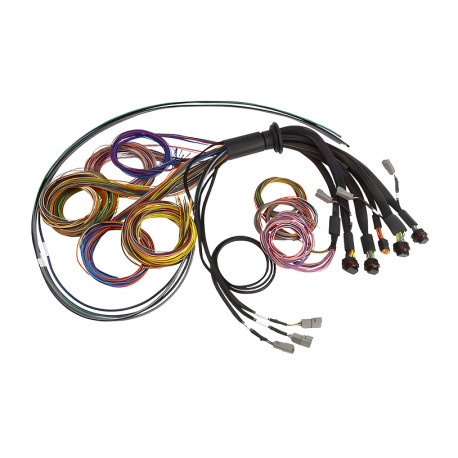 Haltech Haltech Nexus R5 Basic Universal Wire-In harness- 5M (16`) | race-shop.si