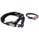 Haltech Haltech Nexus V8 IGN-1A Ford Harness | race-shop.si