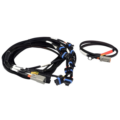 Haltech Haltech Nexus V8 IGN-1A Ford Harness | race-shop.si