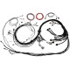 Haltech Haltech Uni V8 Term Engine Harness for Nexus R5 VCU | race-shop.si