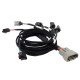 Haltech Haltech Nexus Rebel LS - Multec 2 Injector Sub Harness | race-shop.si