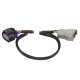 Haltech Haltech Nexus Rebel LS - 8-pin DBW Adaptor | race-shop.si
