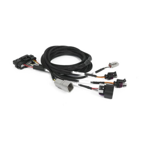 Motec Haltech Nexus Plug-in IO Expansion Harness 2.5m (8`) | race-shop.si