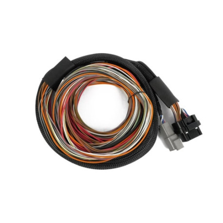 Motec Haltech Nexus IO16 Universal Wire in Harness 2.6m (8.5`) | race-shop.si