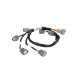 Haltech Haltech Nexus i6 R35 COP Ignition Harness | race-shop.si