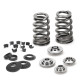 Deli motorja SUPERTECH Valve Spring Kit BMW S54 | race-shop.si