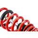 MTS Technik komplet MTS STREET SERIES coilover kit for BMW 5 Touring (F11) 11/09 - 02/17 (Gold) | race-shop.si