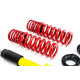 MTS Technik komplet MTS STREET SERIES coilover kit for BMW 2 Coupe (G42/G87) 08/21 - (Gold) | race-shop.si