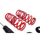 MTS Technik komplet MTS STREET SERIES coilover kit for Honda CIVIC IX (FK) 02/12 - 12/16 (Gold) | race-shop.si