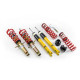 MTS Technik komplet MTS STREET SERIES coilover kit for Nissan 370Z Coupe (Z34) 01/09 - (Gold) | race-shop.si