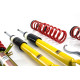 MTS Technik komplet MTS STREET SERIES coilover kit for Nissan 370Z Coupe (Z34) 01/09 - (Gold) | race-shop.si
