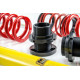 MTS Technik komplet MTS STREET SERIES coilover kit for Nissan 370Z Coupe (Z34) 01/09 - (Gold) | race-shop.si