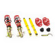 MTS Technik komplet MTS STREET SERIES coilover kit for Fiat CROMA (194) 06/05 - 12/11 (Gold) | race-shop.si