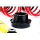 MTS Technik komplet MTS STREET SERIES coilover kit for Tesla MODEL 3 (5YJ3) 06/18 - (Gold) | race-shop.si