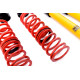 MTS Technik komplet MTS STANCE SERIES coilover kit for Volkswagen BEETLE (5C1/5C2) 04/11 - 07/19 (Gold) | race-shop.si