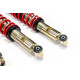 MTS Technik komplet MTS STANCE SERIES coilover kit for Volkswagen GOLF II (19E/1G1) 08/83 - 12/92 (Gold) | race-shop.si
