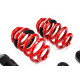 MTS Technik komplet MTS STREET SERIES coilover kit for Audi A4 B9 Avant (8W) 08/15 - (Inox) | race-shop.si