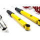 MTS Technik komplet MTS COMFORT SERIES coilover kit for BMW 3 (E46) 12/97 - 05/05 (Inox) | race-shop.si