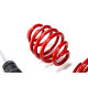 MTS Technik komplet MTS COMFORT SERIES coilover kit for BMW 3 (E46) 12/97 - 05/05 (Inox) | race-shop.si