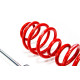 MTS Technik komplet MTS COMFORT SERIES coilover kit for BMW Z4 Coupe (E86) 03/06 - 08/08 (Inox) | race-shop.si