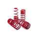 MTS Technik komplet Lowering springs MTS Technik Xpeng P7 04/20 - , 40 mm / 35 mm | race-shop.si