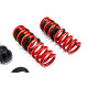 vzmetenje z nastavljivo višino - Coilovers MTS adjustable springs for BMW 3 (G20/G80/G28) 11/18 - | race-shop.si