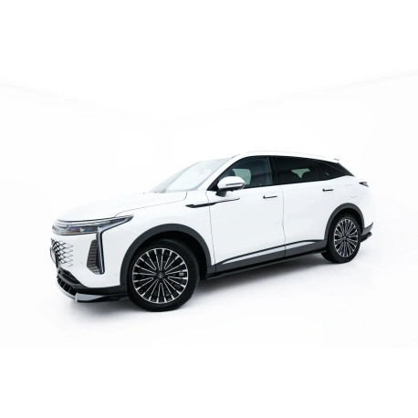 Body kit a vizuálne doplnky Set of Splitters Omoda 9 Mk1 | race-shop.si