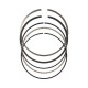 Deli motorja JE Pistons Ring Set 1.2-1.5-3.0-91.59 | race-shop.si