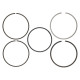 Deli motorja Wiseco Piston Ring Set 100.50mm (1.20x1.50x2.00mm) | race-shop.si