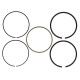 Deli motorja Wiseco Piston Ring Set 103.51mm (Autom. 1 Set For 1 Piston) | race-shop.si