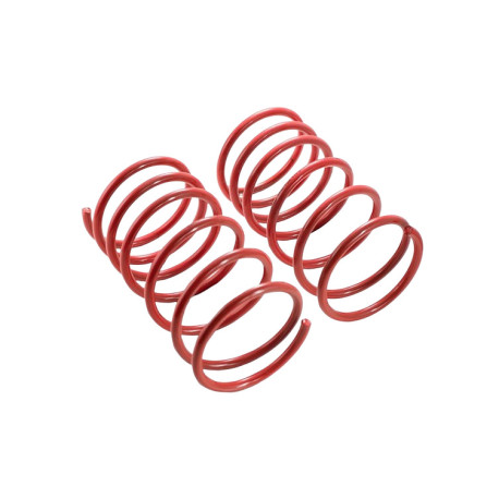 MTS Technik komplet Spustne vzmeti MTS Technik za Peugeot 206 + 08/98 - 07/12, 40 mm / -0 | race-shop.si
