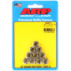 Deli motorja ARP Stainless Steel M8 x 1.25 12-Point Nut Kit (M10 Wrench Size) | race-shop.si