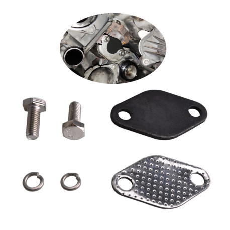 Svečke EGR EGR removal plug BMW E46/ E38/ E39/ E90/ E65 | race-shop.si