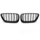 Body kit a vizuálne doplnky TUNING-TEC maska hladilnika (Sport Double Bar) za BMW F22 / F23 13-21, sijajno črna | race-shop.si