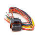 Standalone ecu, display and accessories Link kabelski snop A, kratek (0LA) | race-shop.si