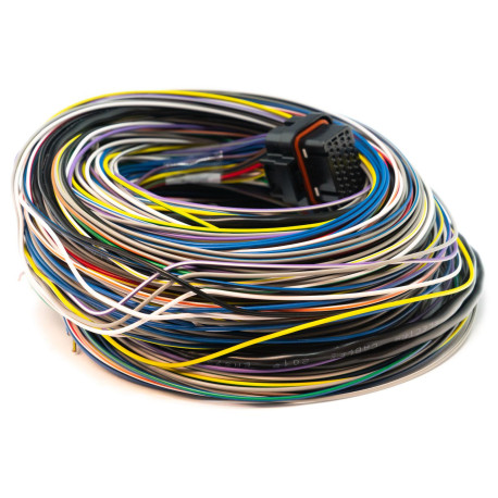 Standalone ecu, display and accessories Link kabelski snop B, dolg (5LB) | race-shop.si