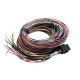 Standalone ecu, display and accessories Link stari G4 Atom & Lightning 5m (5LT) | race-shop.si