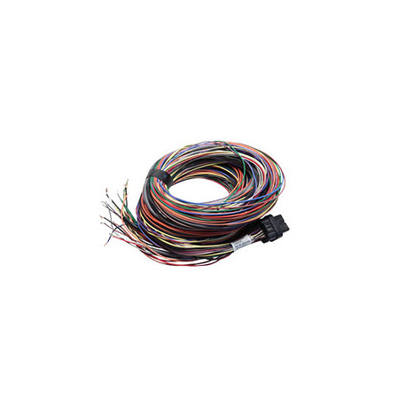 Standalone ecu, display and accessories Link stari G4 Atom & Lightning 5m (5LT) | race-shop.si