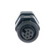 Standalone ecu, display and accessories Link vtič (CANF) | race-shop.si