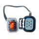 Standalone ecu, display and accessories Link LS DBW adapterski kabelski snop | race-shop.si
