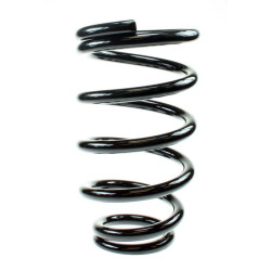 BC 16kg replacement spring for coilover, 100.99.220.16V