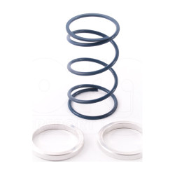 Wastegate Springs & Shims