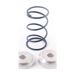 FMDVRAYV2 Individual Springs