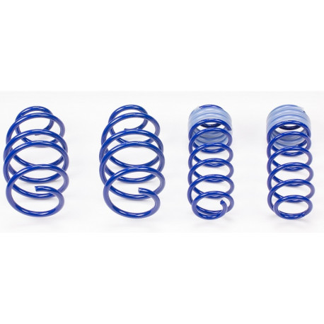 AP športno vzmetenje Spustne vzmeti AP za AUDI 80, 06/91-, 40/30mm | race-shop.si