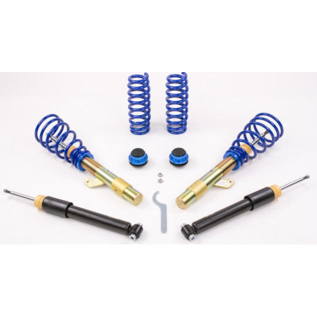 Clio Coilover kit AP for RENAULT Clio, 10/05-06/10 | race-shop.si