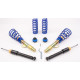 Focus Coilover kit AP for FORD Focus, 10/02- | race-shop.si