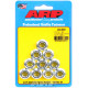 ARP vijaki M10 X 1.25 locking flange nut kit (10pcs) | race-shop.si