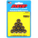ARP vijaki ARP matice (12-robna glava), 3/8-24, 10 kos | race-shop.si